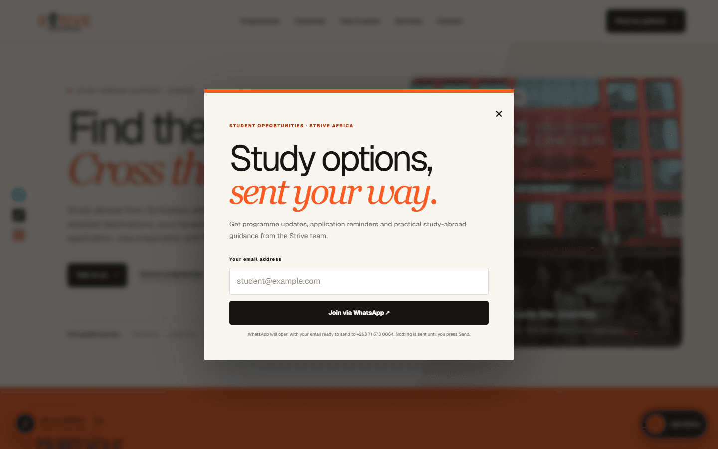 Strive Africa website homepage